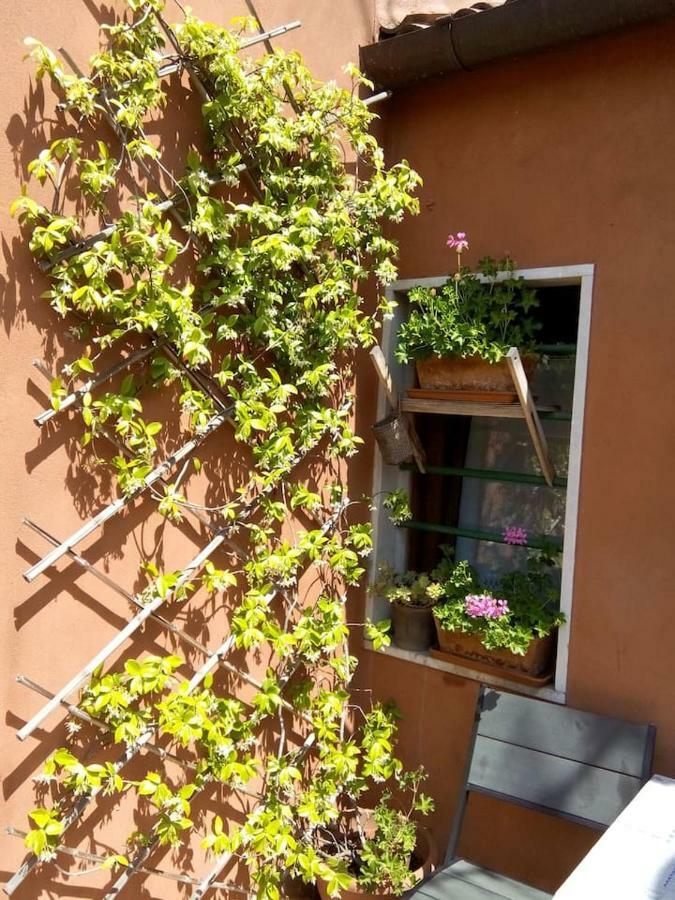 Ca' San Silvestro 2 Terrazze Nel Cuore Di Appartement *